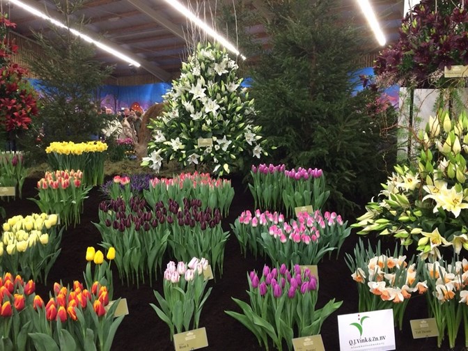 lentetuin breezand